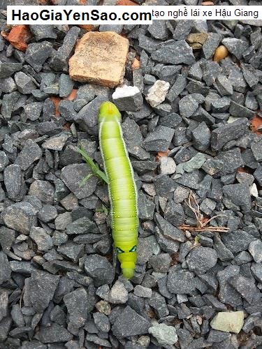 Danh Sách 21 Trung tâm, Cơ sở giáo dục H. Vị Thuỷ, T. Hậu Giang