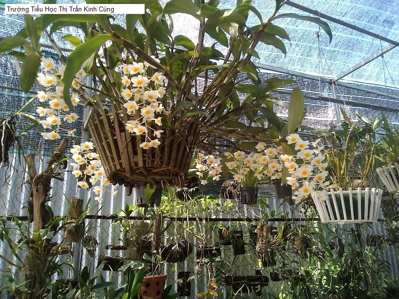 Trường Tiểu Học Thị Trấn Kinh Cùng