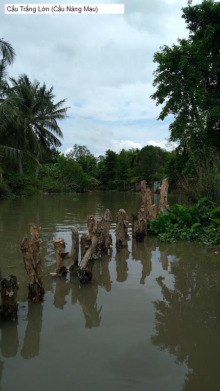 Cầu Trắng Lớn (Cầu Nàng Mau)