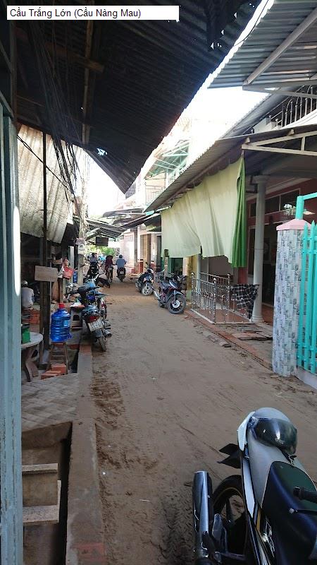 Cầu Trắng Lớn (Cầu Nàng Mau)