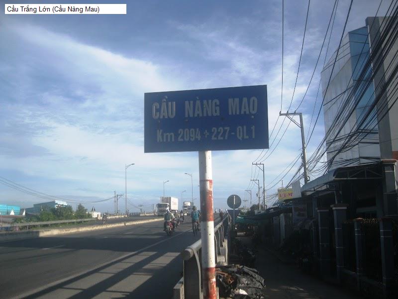 Cầu Trắng Lớn (Cầu Nàng Mau)