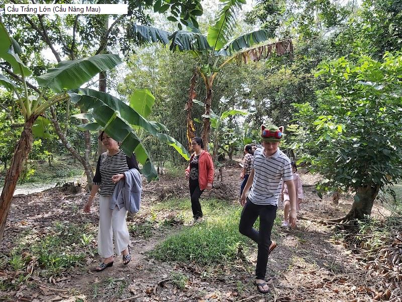 Cầu Trắng Lớn (Cầu Nàng Mau)